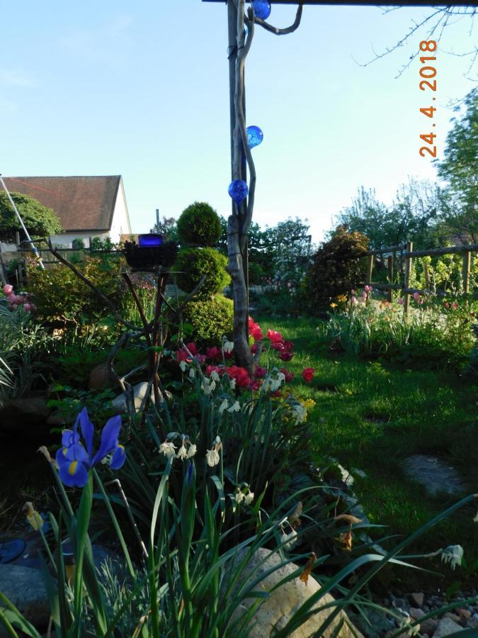 Chez Nous. B&B Bassy Kültér fotó