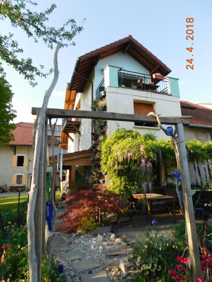 Chez Nous. B&B Bassy Kültér fotó
